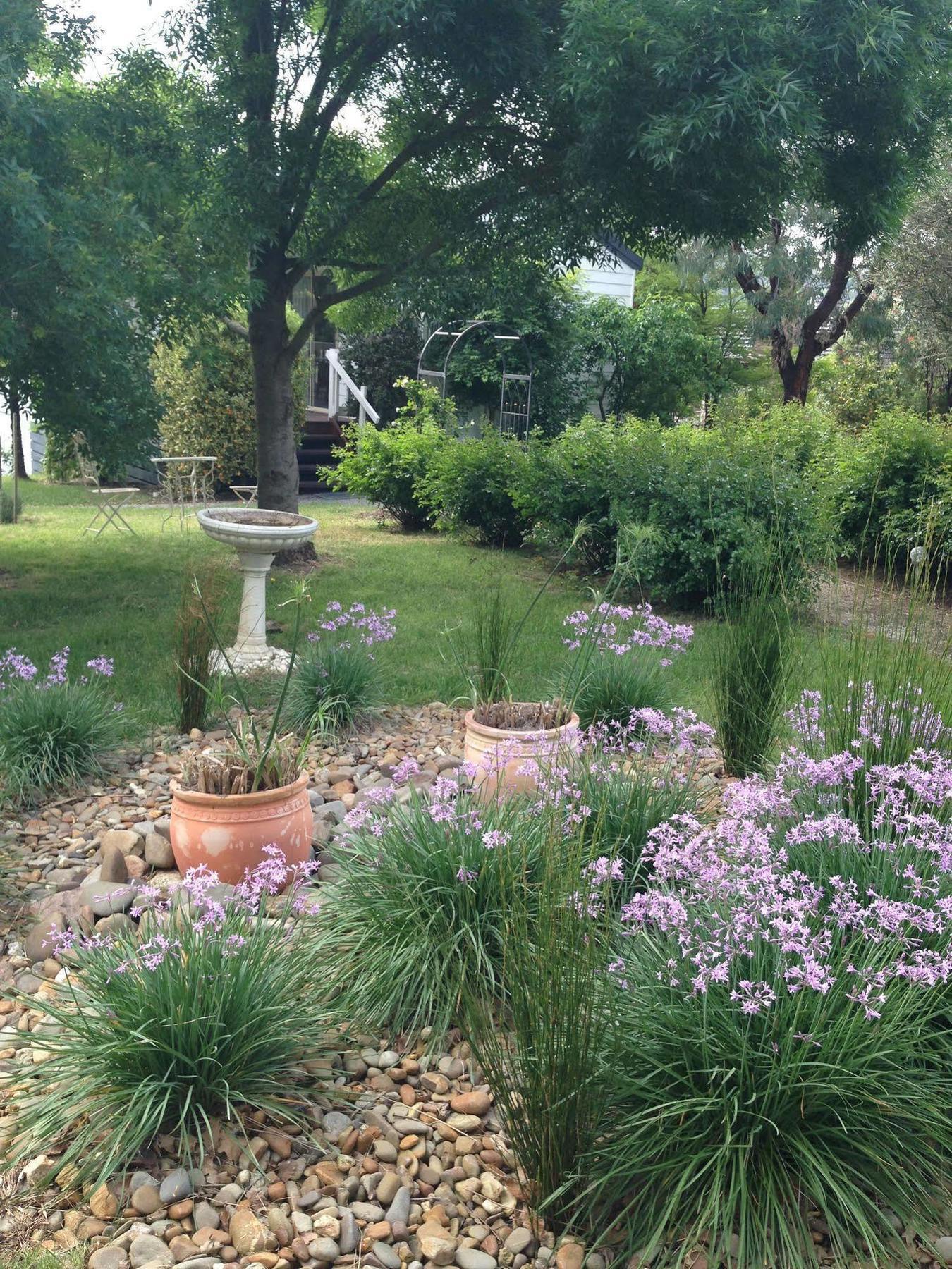 Yarra Glen Bed & Breakfast מראה חיצוני תמונה